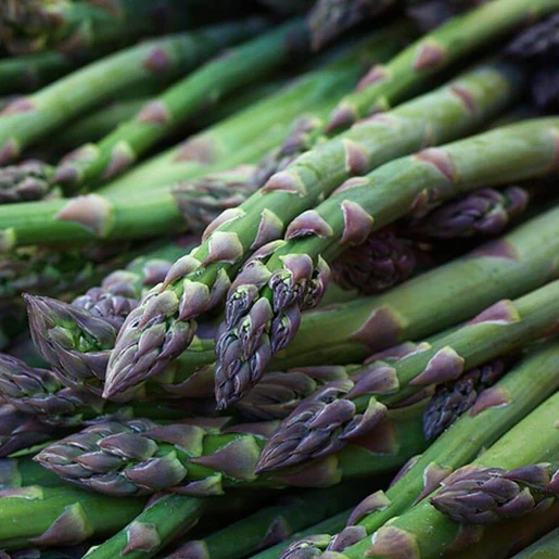 West Coast Seeds Asparagus - UC157 F2