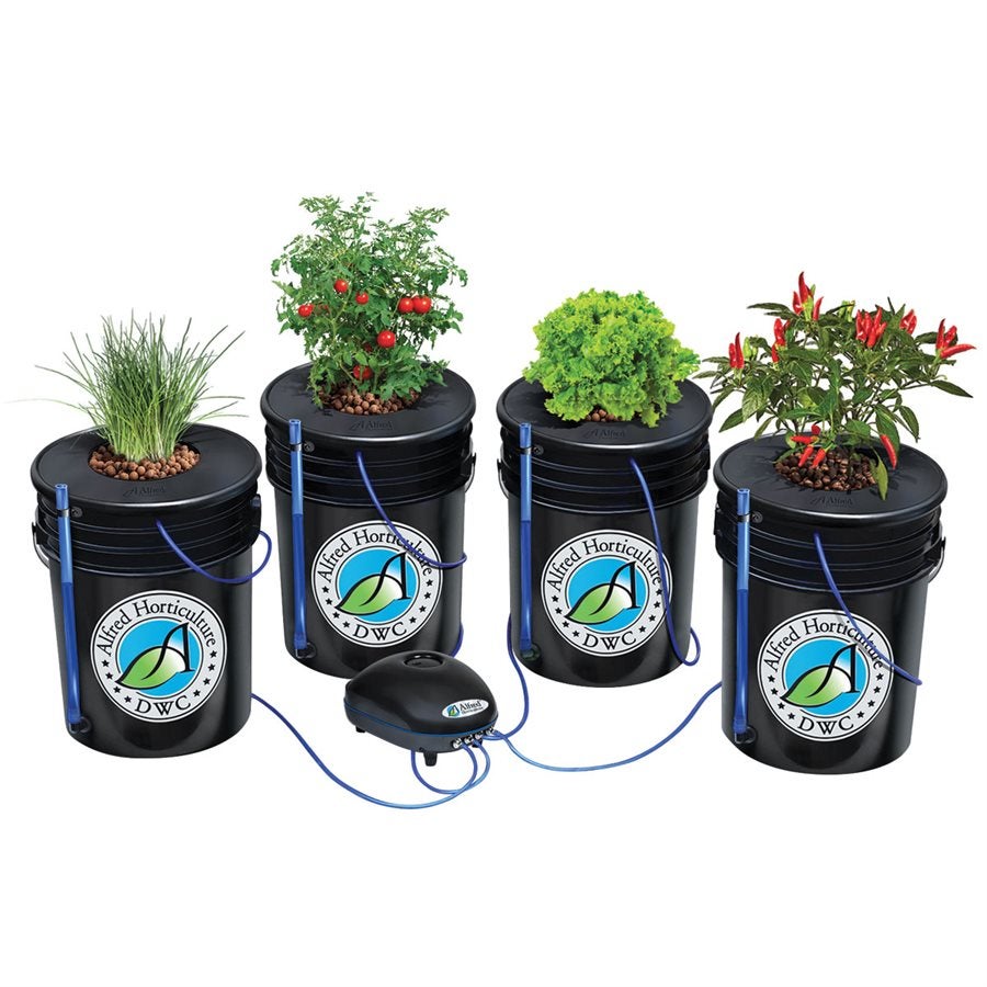 Alfred Horticulture Deep Water Culture System - 4 System