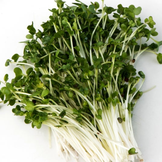 Mumm's Sprouting Seeds Broccoli - 100 Grams