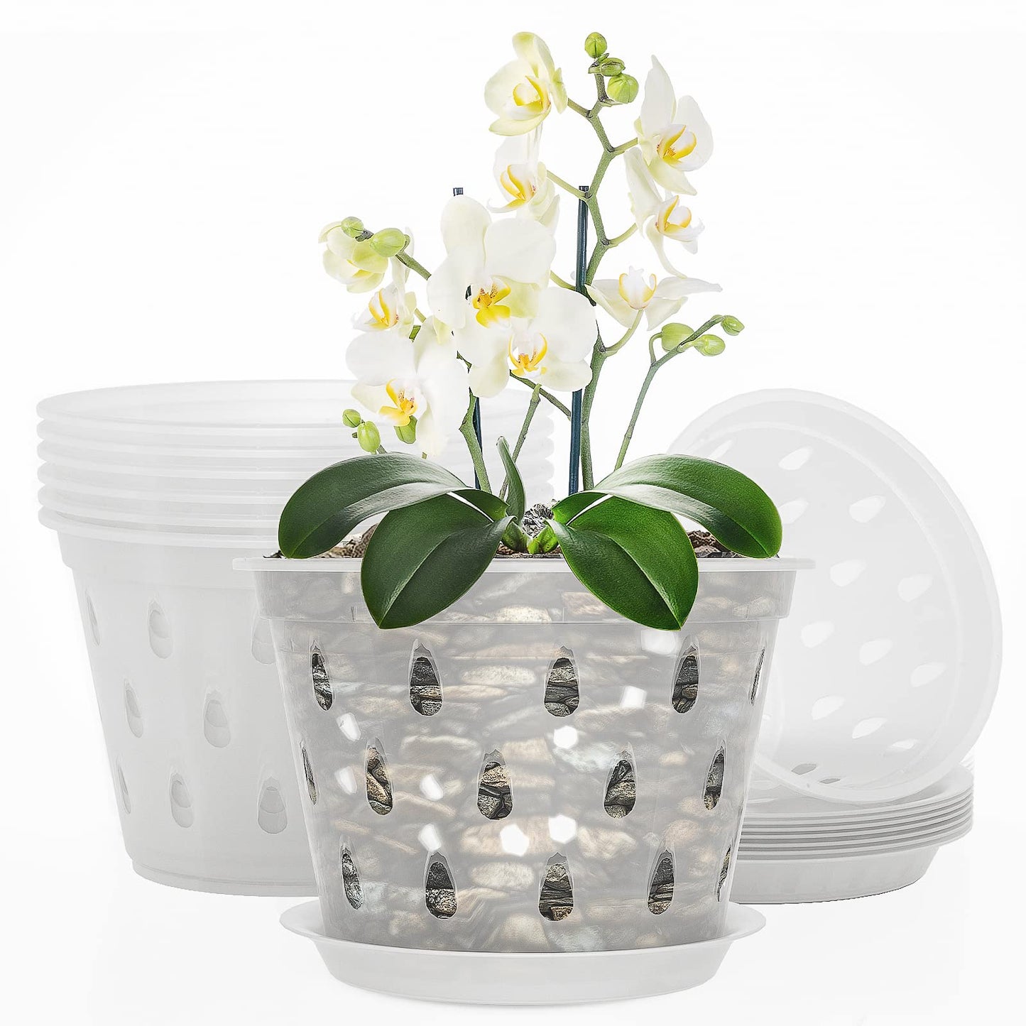 Breathable Transparent Slotted Orchid Pot With Saucer