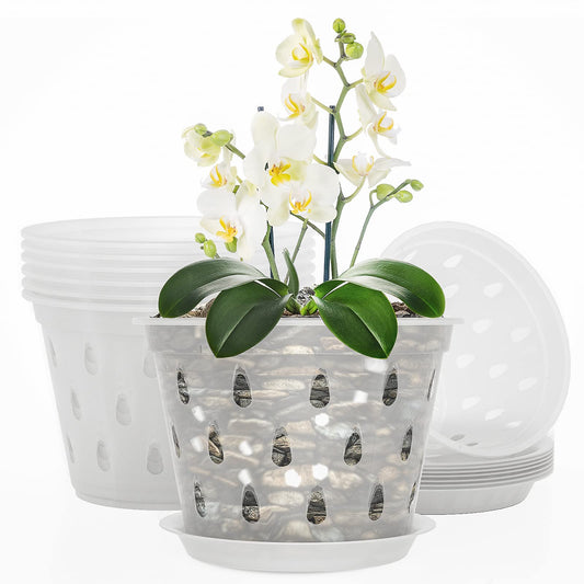 Breathable Transparent Slotted Orchid Pot With Saucer