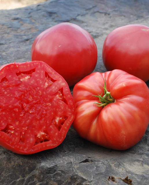 West Coast Seeds Tomatoes - Mortgage Lifter Organic