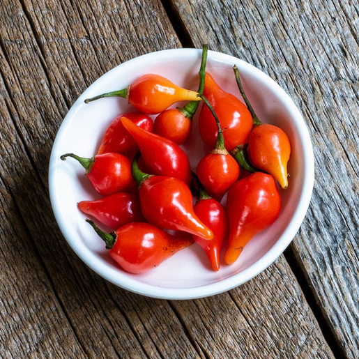 West Coast Seeds Peppers - Biquinho Red