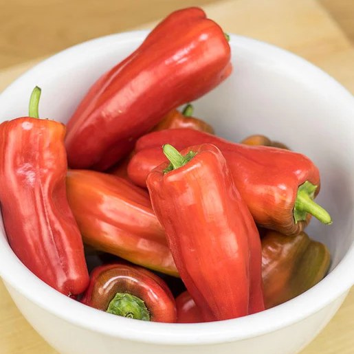 West Coast Seeds Peppers - Red Candy Cane Pepper