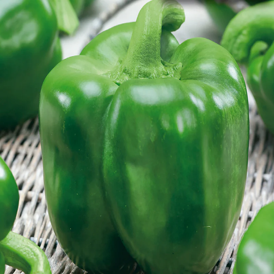 McKenzie Seeds Pepper Seeds, Garden Leader Monster Bell