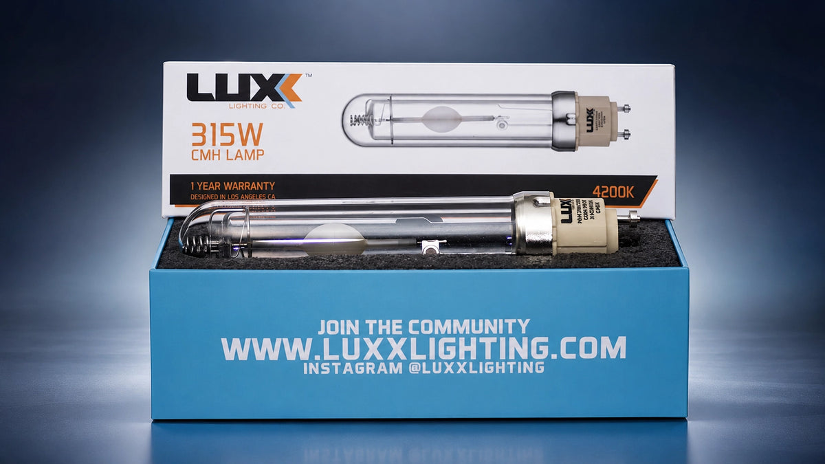 Lighting Provision Luxx Lighting – Provision Gardens