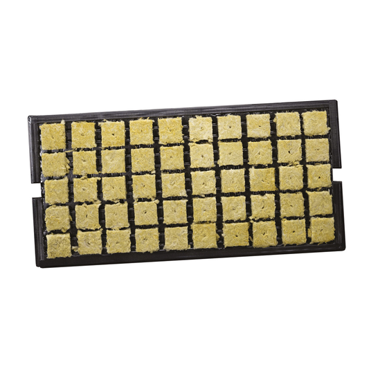 Grodan A-OK 1.5'' Starter Plugs in Prefilled Tray