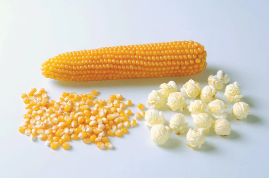 West Coast Seeds Corn - Caramel Crisp Popcorn F1