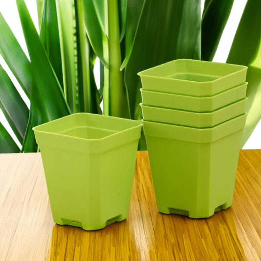 Square Nursery Pots 2.75 Inch - Green