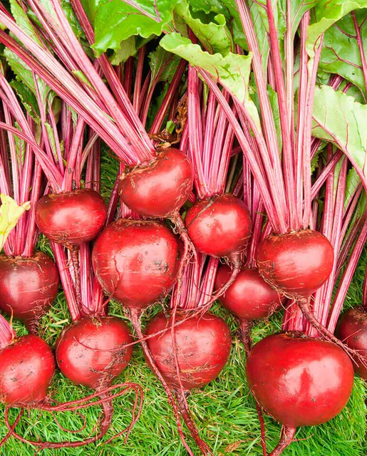 West Coast Seeds Beets - Merlin Organic