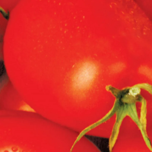 McKenzie Seeds Organic Tomato Seeds, Roma