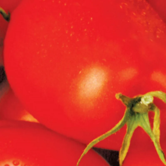 McKenzie Seeds Organic Tomato Seeds, Roma