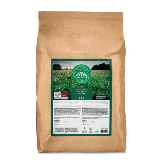 Gaia Green Alfalfa Meal - 10 KG