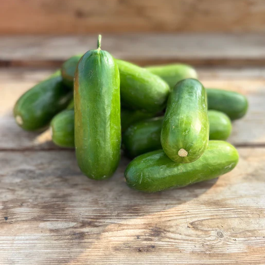 West Coast Seeds Cucumbers - Mini-Me F1 Certified Organic