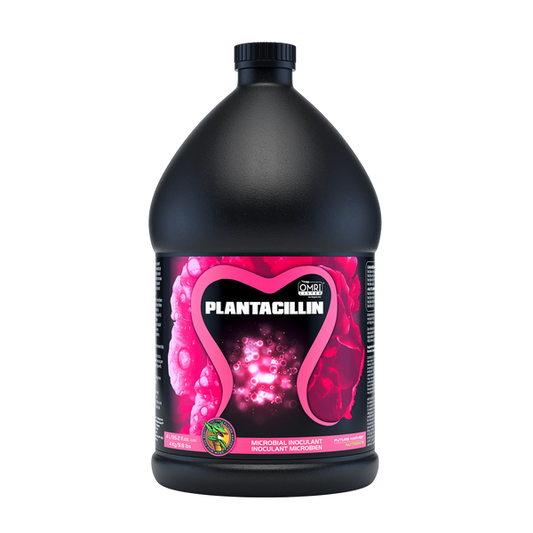 Future Harvest Plantacillin - 4 Litre