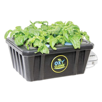 OxyClone Cloning System