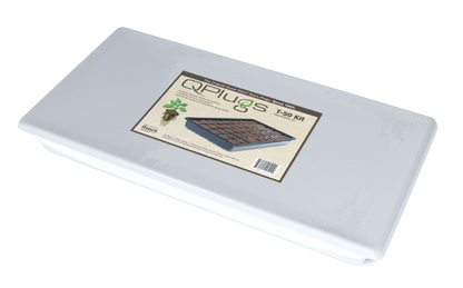 Q Plugs - 50 Plugs With Carrying Tray