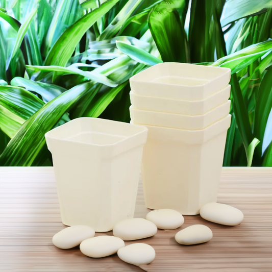 Square Nursery Pots 2.75 Inch - White