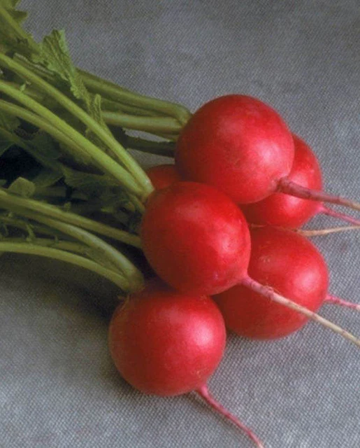 West Coast Seeds Radishes - Cherriette