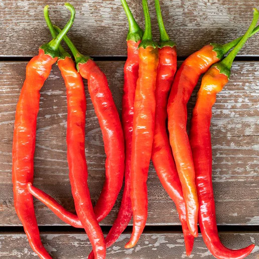 West Coast Seeds Peppers - Witch Stick Chili Pepper F1