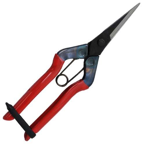 Chikamasa T-550 Carbon Steel