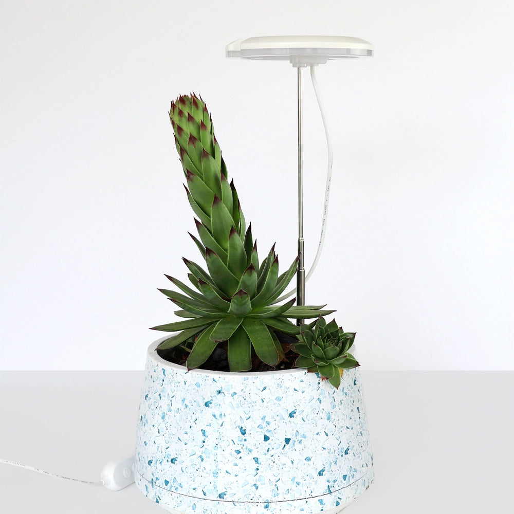 SunBlaster Halo 360 LED Plant Light