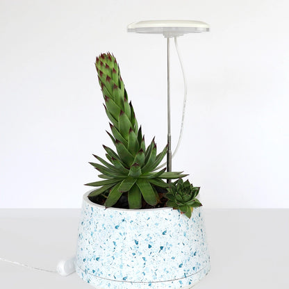 SunBlaster Halo 360 LED Plant Light