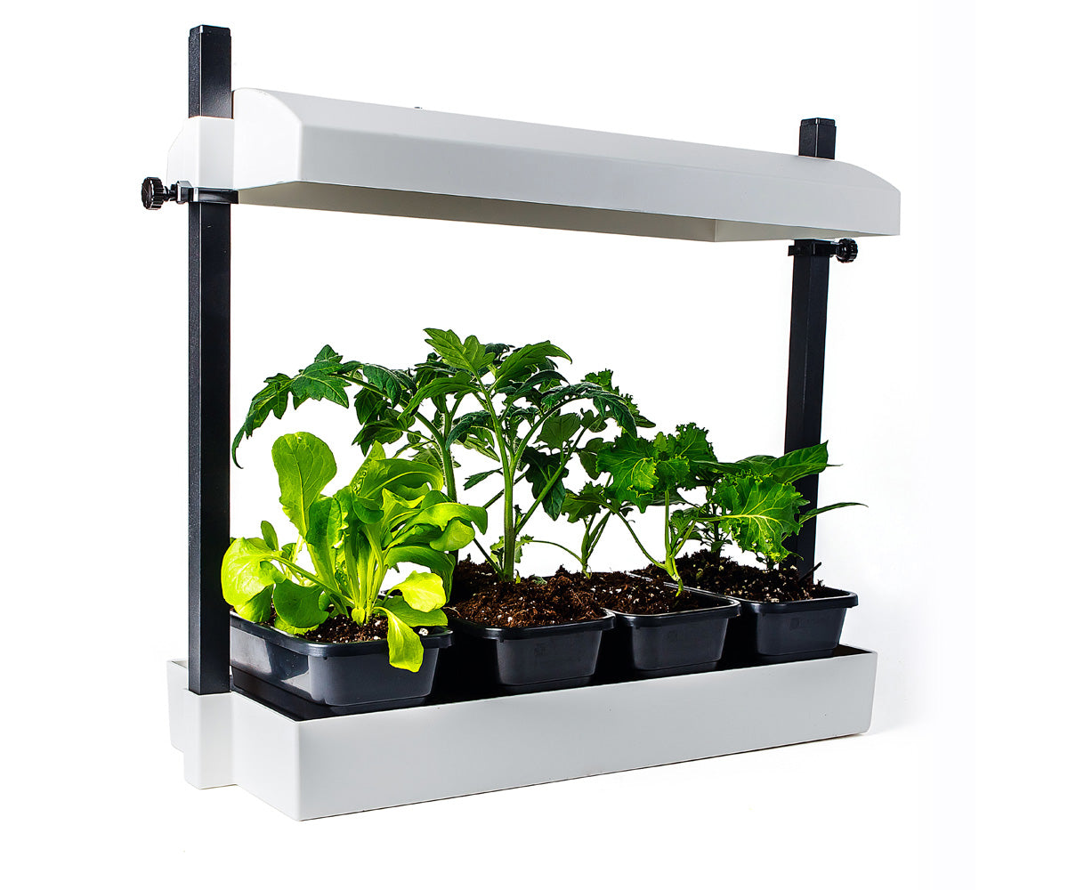 SunBlaster Micro Grow Light Garden - White T5HO