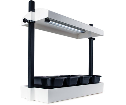 SunBlaster Micro Grow Light Garden - White LED