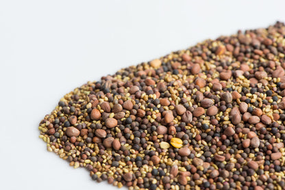 Mumm's Sprouting Seeds Spring Salad Mix - 200 Grams