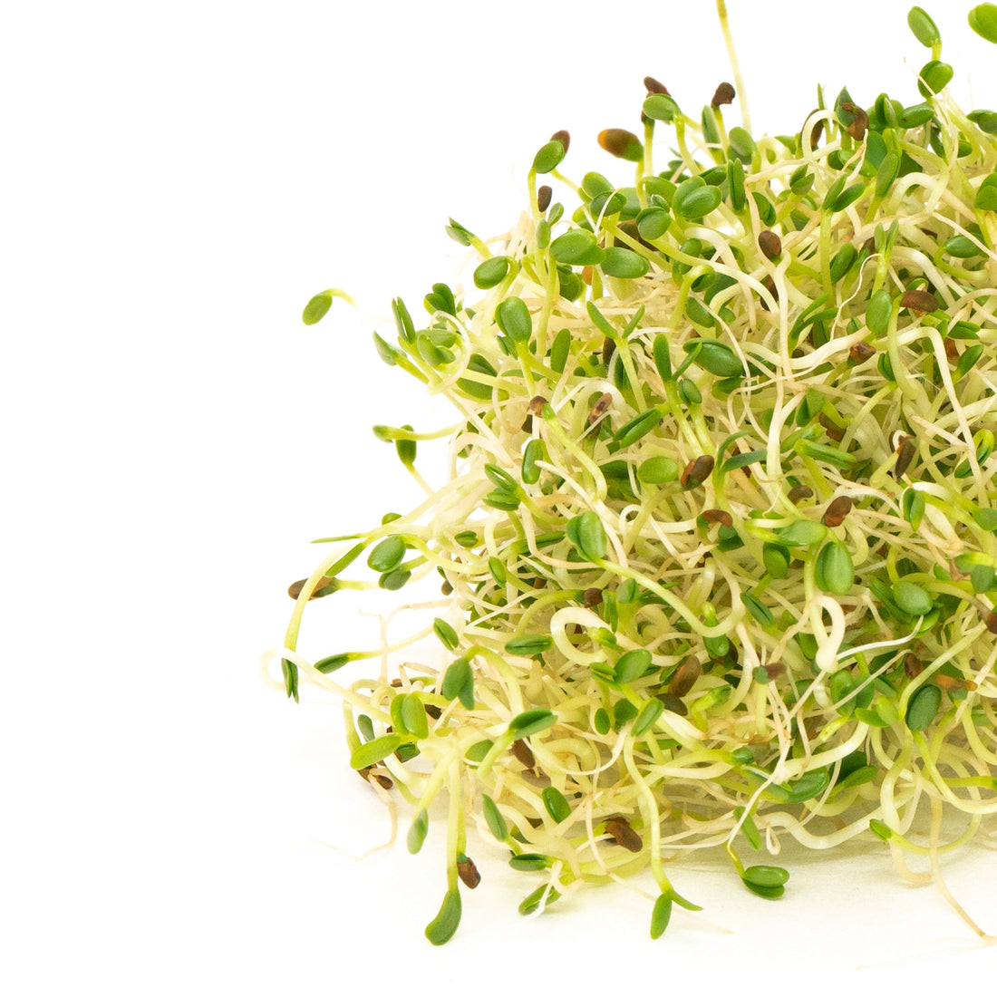 Mumm's Sprouting Seeds Sandwich Booster - 250 Grams