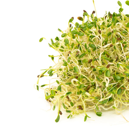 Mumm's Sprouting Seeds Sandwich Booster - 250 Grams