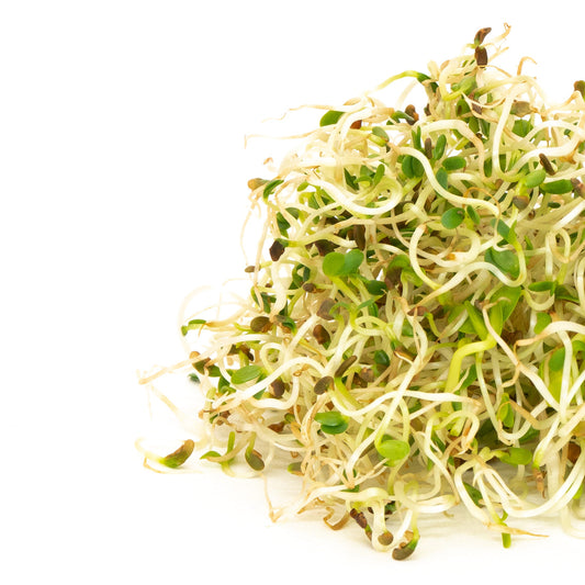 Mumm's Sprouting Seeds Spring Salad Mix - 200 Grams