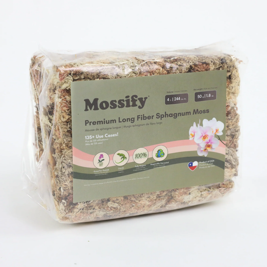 Mossify Sphagnum Moss - 50 g / 1.8 oz