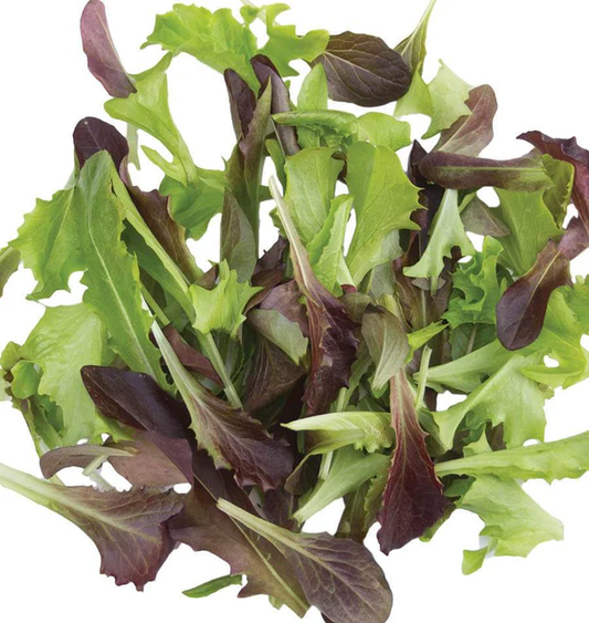 West Coast Seeds Lettuce - Fast and Furious Blend Certified Organic