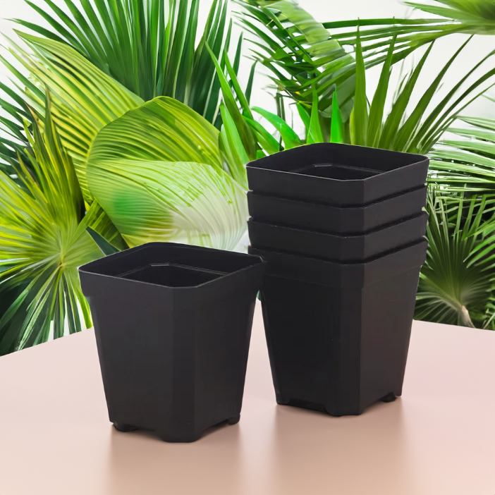 Square Nursery Pots 2.75 Inch - Black