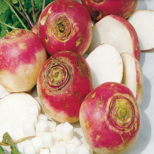 McKenzie Seeds Rutabaga Seeds, American Purple Top