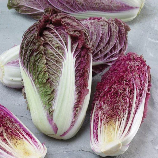 West Coast Seeds Cabbage - Red Scarvita F1