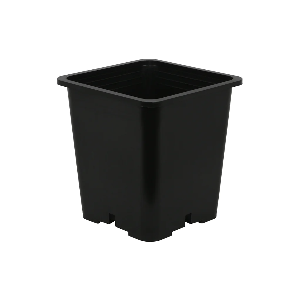 Black Square Pot - 2 Gallon