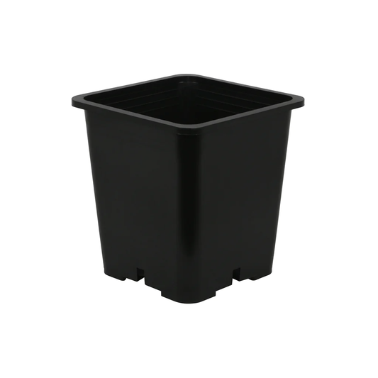 Black Square Pot - 2 Gallon