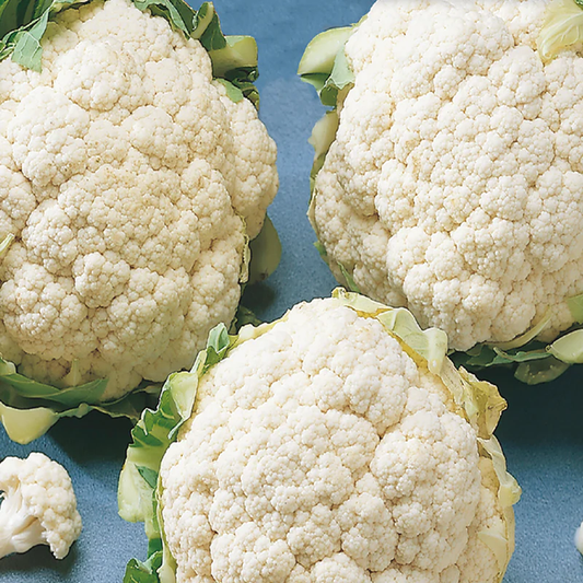 McKenzie Seeds Cauliflower Seeds, Early Snowball