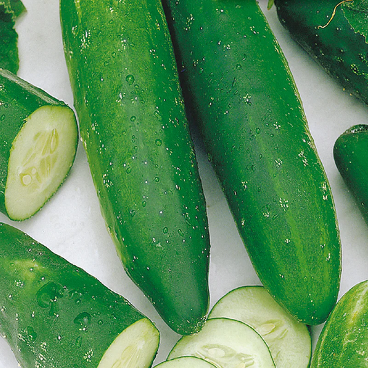 McKenzie Seeds Cucumber Seeds, Improved Long Green