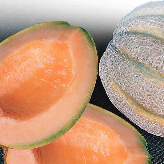 McKenzie Seeds Cantaloupe Seeds, Delicious