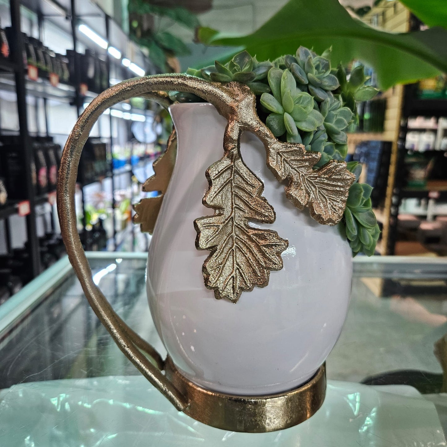 Rare Echeveria Hybrids Succulent Arrangement - #9