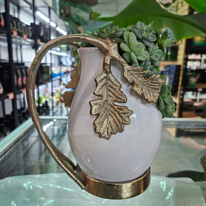 Rare Echeveria Hybrids Succulent Arrangement - #9