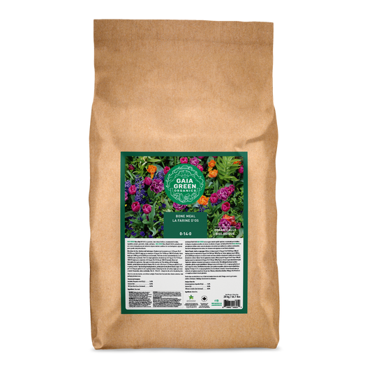 Gaia Green Bone Meal - 20 KG