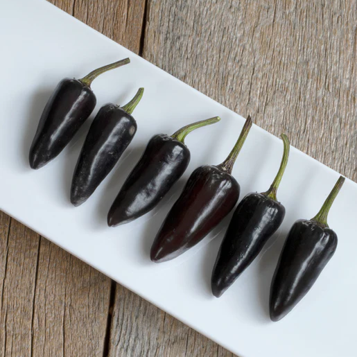 West Coast Seeds Peppers - Hungarian Black Hot Pepper Organic OP
