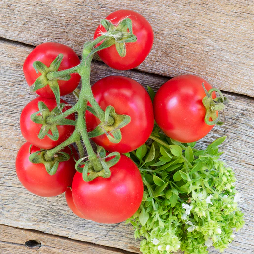 West Coast Seeds Tomatoes - Red Racer F1