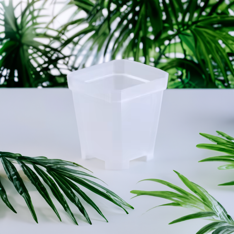 Square Nursery Pots 2.75 Inch - Clear