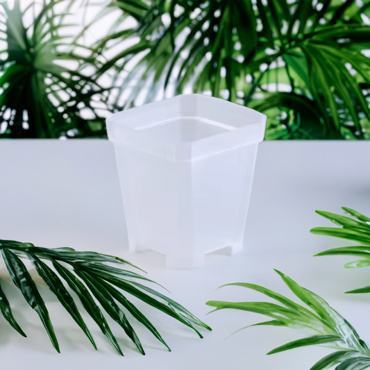 Square Nursery Pots 2.75 Inch - Clear